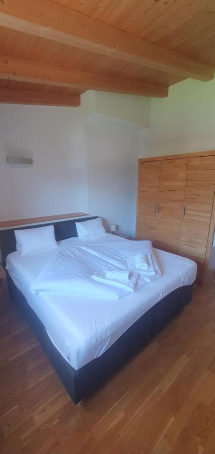 Apartment Hohe Tauern Piesendorf Extérieur photo